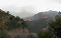 Κρήτη: 410 στρέμματα γης έκαψε η φωτιά στην Κάντανο