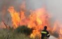 Στις φλόγες το Ακρωτήρι Χανίων - Ισχυρές πυροσβεστικές δυνάμεις παλεύουν με τις φλόγες και τον άνεμο
