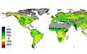 Οι έρημοι του πλανήτη πρασινίζουν χάρη στη γονιμοποίηση από διοξείδιο του άνθρακα