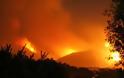 Ανακοίνωση της Πυροσβεστικής για τη φωτιά στη Πάρνηθα
