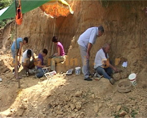 Πλατανιά Δράμας τοπική ιστορία 7 εκατ. ετών… - Φωτογραφία 3