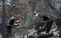 Σοβαρός τραυματισμός Τρικαλινού δασεργάτη στο δάσος της Πύρρας