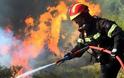 Μεγάλη φωτιά στην Εύβοια απειλεί σπίτια