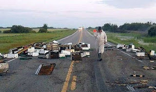 Κοπανάκι: Αναταραχή προκλήθηκε από μέλισσες μετά από τροχαίο! - Φωτογραφία 1