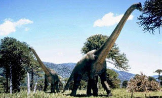 Οι δεινόσαυροι που δεν πήγαιναν… οδοντίατρο - Φωτογραφία 1