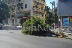 Φαρδύ πλατύ στο πεζοδρόμιο ολόκληρο δέντρο στην πλατεία Δικαστηρίων - Μετά από τροχαίο ο οδηγός ούτε γρατζουνιά