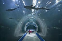 Aqua Planet Yeosu: Ένα εντυπωσιακό ενυδρείο