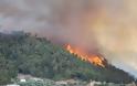 Πάτρα : Φωτιά σε δασική έκταση στο χωριό Άρλα Αχαΐας