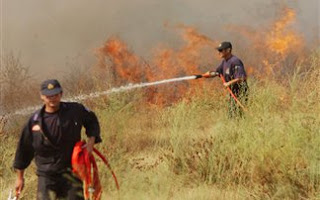 Aχαΐα: Πυρκαγιά στην Άρλα - Φωτογραφία 1