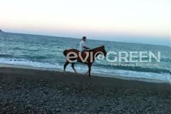 Στόμιο: Το άλογο που έκανε μικρούς και μεγάλους να κολλήσουν!
