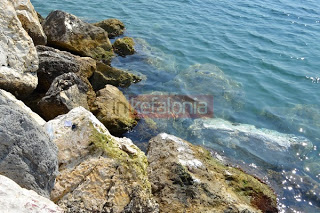 ΣΟΚ στη Kεφαλονιά: Γυναίκα βρέθηκε νεκρή στα βράχια - Φωτογραφία 1