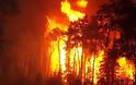 Εξακόσια στρέμματα δάσους έκαψε η φωτιά στη Σάμο
