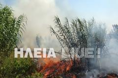 Ηλεία: Στάχτη 45 στρέμματα μεταξύ Γαστούνης – Βαρθολομιού