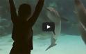 Κορίτσι ψυχαγωγεί τα δελφίνια με… γυμναστικές επιδείξεις [Video]