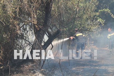 Πύργoς: Φωτιά απειλεί σπίτια! - Φωτογραφία 2