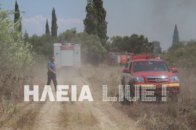 Πύργoς: Φωτιά απειλεί σπίτια! - Φωτογραφία 3