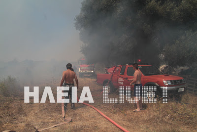 Πύργoς: Φωτιά απειλεί σπίτια! - Φωτογραφία 4