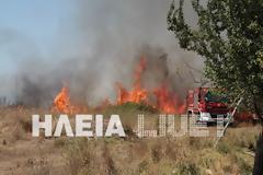 Πύργoς: Φωτιά απειλεί σπίτια!
