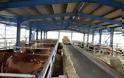 Δήμος Λαγκαδά - Ταχύτερη η διαδικασία αδειοδότησης των κτηνοτροφικών μονάδων