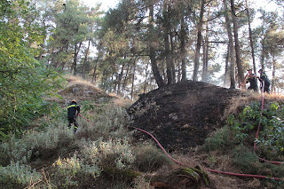 ΠΡΙΝ ΛΙΓΟ: Πυρκαγιά στο περιαστικό δάσος των Ιωαννίνων - Φωτογραφία 1