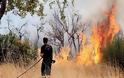 Πυρκαγιά κατέκαψε 10 δεκάρια άγρια βλάστηση στο Στρουμπί