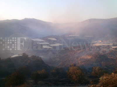 Μεγάλη πυρκαγιά στην Μεσαρά καίει τα πάντα [Photos] - Φωτογραφία 2