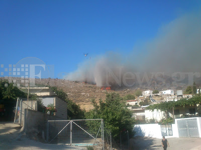 Μεγάλη πυρκαγιά στην Μεσαρά καίει τα πάντα [Photos] - Φωτογραφία 8