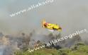 Έξι πυροσβεστικά αεροπλάνα και 100 δασοπυροσβέστες ρίχνονται στην μάχη της φωτιάς στη Νότια Ρόδο