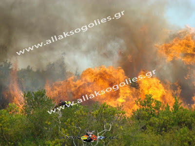 Σεληνιακό Τοπίο η Νότια Ρόδος – Βιβλική καταστροφή από την φωτιά [Photos] - Φωτογραφία 11