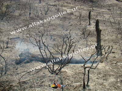 Σεληνιακό Τοπίο η Νότια Ρόδος – Βιβλική καταστροφή από την φωτιά [Photos] - Φωτογραφία 13