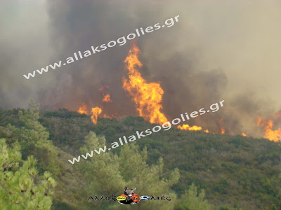 Σεληνιακό Τοπίο η Νότια Ρόδος – Βιβλική καταστροφή από την φωτιά [Photos] - Φωτογραφία 18