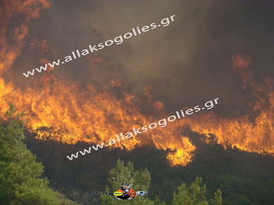 Σεληνιακό Τοπίο η Νότια Ρόδος – Βιβλική καταστροφή από την φωτιά [Photos] - Φωτογραφία 19