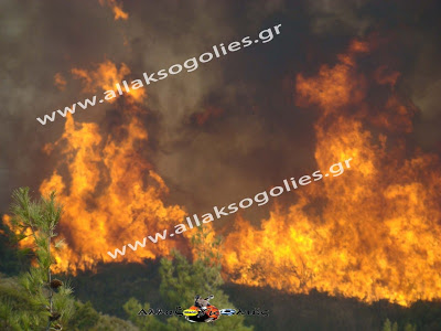 Σεληνιακό Τοπίο η Νότια Ρόδος – Βιβλική καταστροφή από την φωτιά [Photos] - Φωτογραφία 20