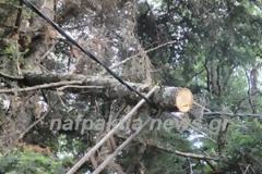 Kίνδυνος ηλεκτροπληξίας στο κοιμητήριο της Άνω Χώρας!