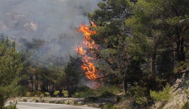 Σε ύφεση ο πύρινος εφιάλτης στη Ρόδο - Φωτογραφία 2