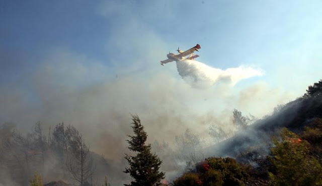 Σε ύφεση ο πύρινος εφιάλτης στη Ρόδο - Φωτογραφία 7