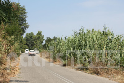 Hλεία: «Βομβαρδισμένο» τοπίο ο δρόμος προς τον οικισμό Αστέρια - Καβούρι - Φωτογραφία 2