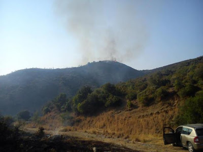 Αχαΐα: 25 στρέμματα έκαψε η φωτιά στη Ρουπακιά - Υπό μερικό έλεγχο οι φλόγες - Δείτε φωτo - Φωτογραφία 4