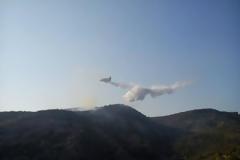 Αχαΐα: 25 στρέμματα έκαψε η φωτιά στη Ρουπακιά - Υπό μερικό έλεγχο οι φλόγες - Δείτε φωτo