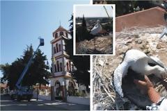 Γενισεά: Άνθρωποι του Φορέα απεγκλώβισαν τον πελαργό που είχε παγιδευτεί στο Καμπαναριό