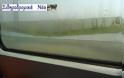 «Ενυδρείο» σε παράθυρο Προαστιακού τρένου [video]