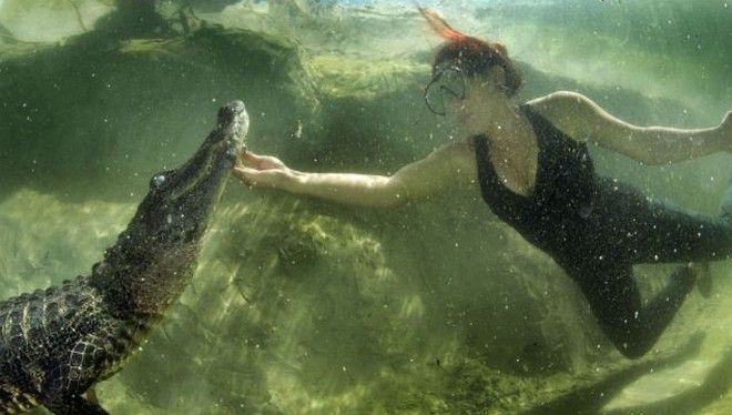 H γυναίκα που ζει για να παλεύει με αλιγάτορες - Φωτογραφία 4