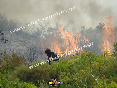 Ο θάνατος του δάσους στη Νότιο Ρόδο από τη φωτιά [Video] - Φωτογραφία 2