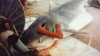 Απίστευτη Φώτο: Άνδρας Μέσα Στην Κοιλιά Καρχαρία! - Φωτογραφία 1