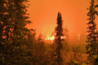 Πολύ υψηλός ο κίνδυνος πυρκαγιάς σε Ηράκλειο και Λασίθι - Επί ποδός η Πυροσβεστική - Φωτογραφία 1