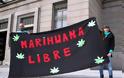Νόμιμη η καλλιέργεια και η εμπορία μαριχουάνας στην Ουρουγουάη