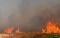 Σε εξέλιξη η φωτιά στο Πεδίο Βολής - Σηκώθηκε και ελικόπτερο
