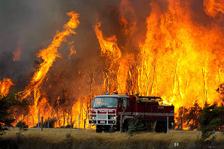 Μεγάλη φωτιά στην Καλλονή Λέσβου- Υπό μερικό έλεγχο τώρα - Φωτογραφία 1