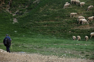 Αρμένιοι σκότωσαν Τούρκο βοσκό γιατί πέρασε τα σύνορα κυνηγόντας τα ζώα του - Φωτογραφία 1