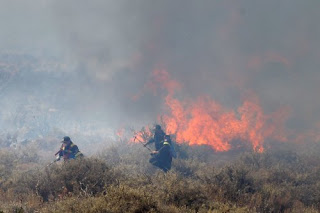 Τεράστια η καταστροφή από την πυρκαγιά στο Πεδίο Βολής Γουβών - Δείτε φωτογραφίες - Φωτογραφία 1